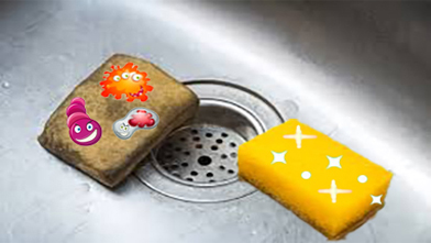 اسکاچ آنتی باکتریال